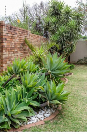 Jewel of Jozi